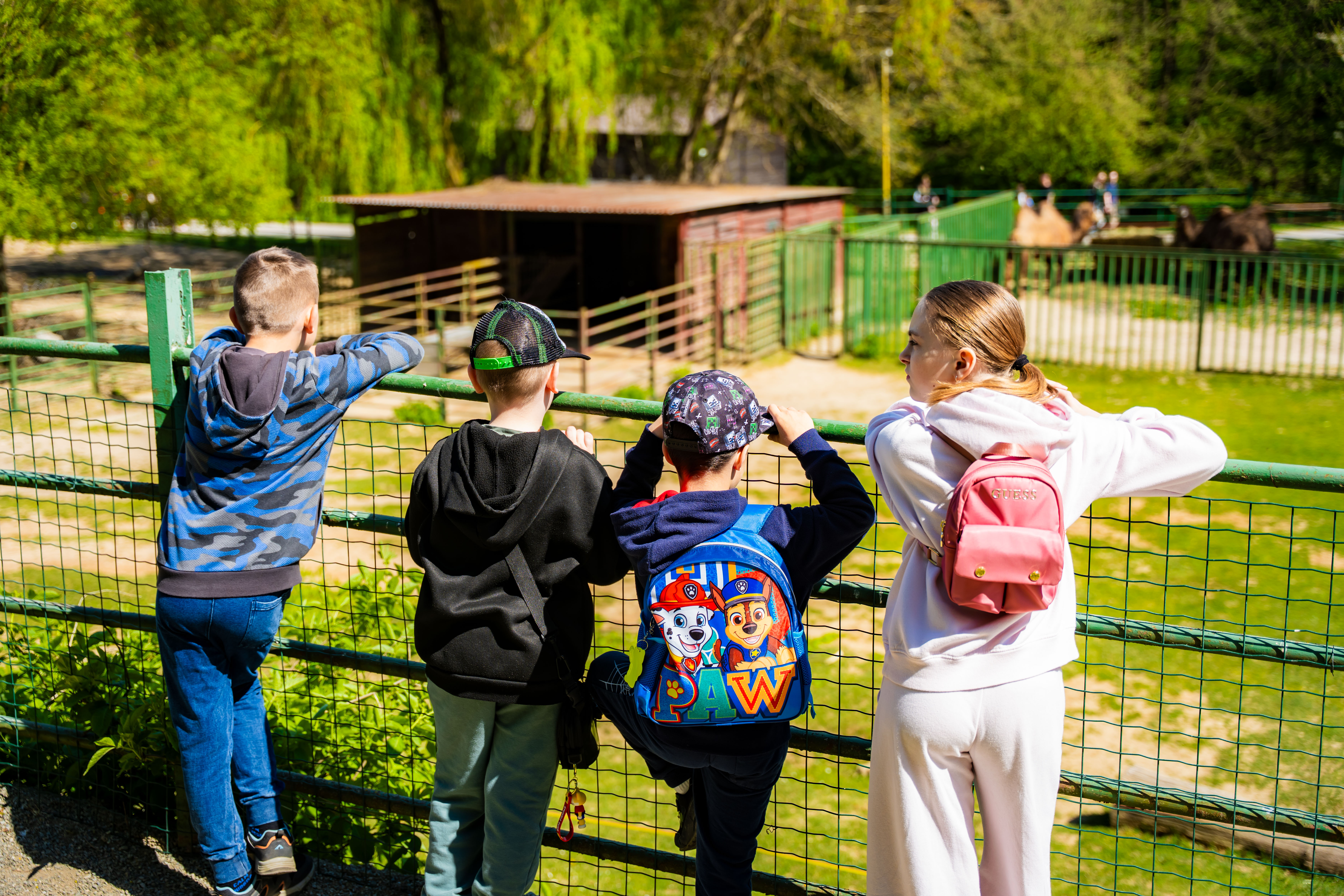 Den Zeme v Kosickej ZOO-1-9